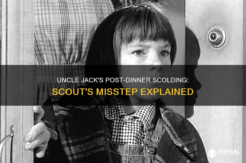 what does uncle jack reprimand scout for after dinner