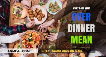 Decoding 'Visit Over Dinner': Meaning, Etiquette, and Social Implications
