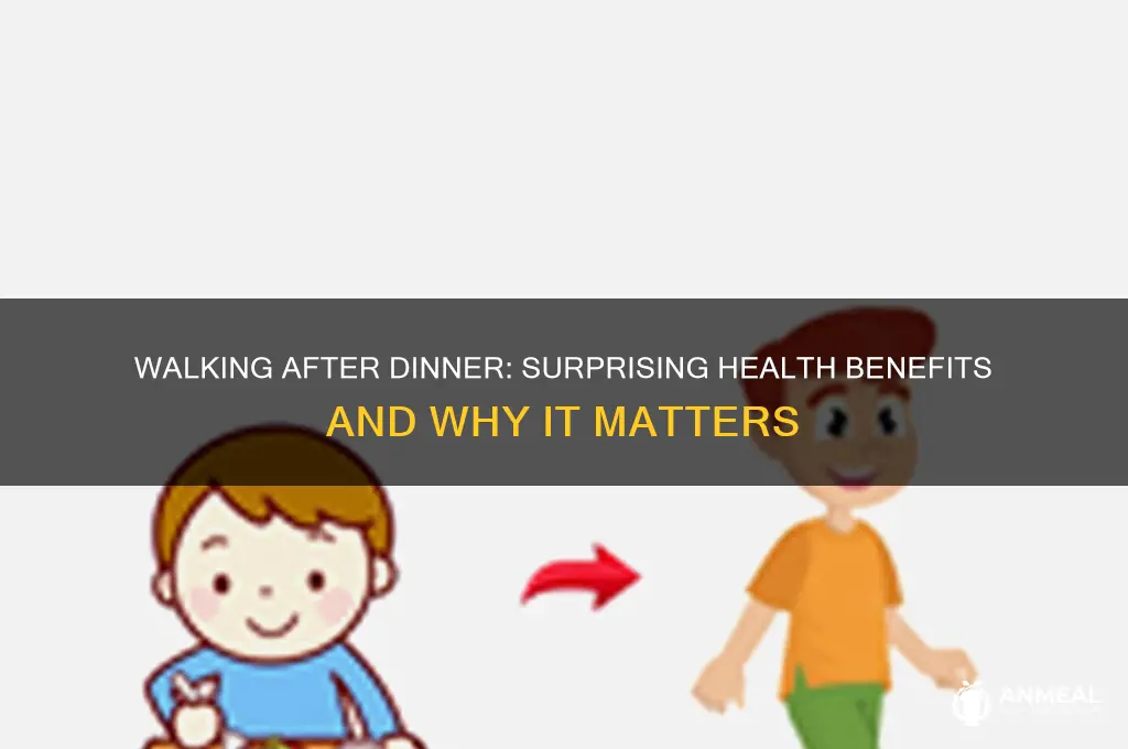 what does walking after dinner do
