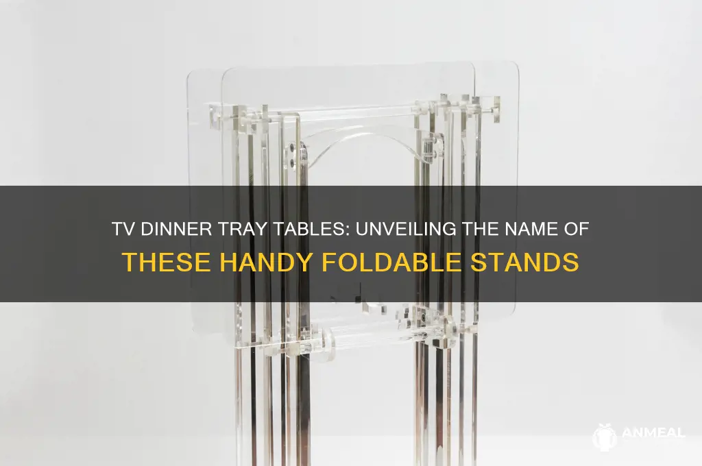 what doyou call those tv dinner traytables