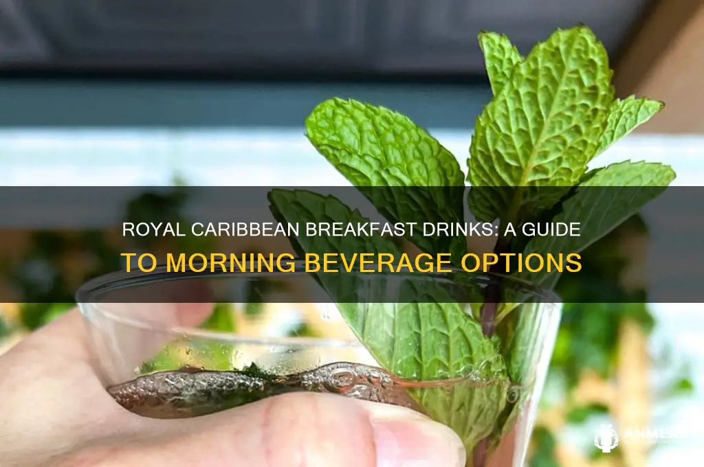 what drinks are available at breakfast on royal caribbean