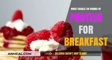 Protein-Packed Breakfast Ideas: 30 Grams of Protein Made Easy