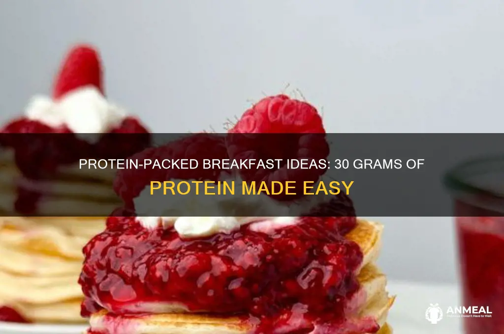 what equals 30 grams of protein for breakfast