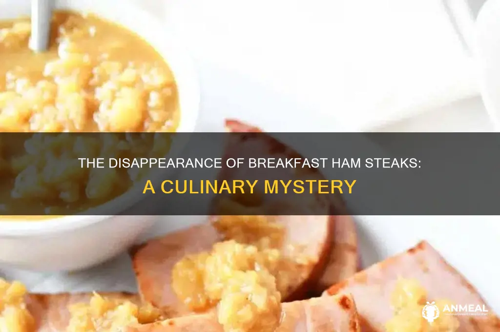 what ever happened to breakfast hamsteaks