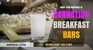 Carnation Breakfast Bars: The Rise, Fall, and Mystery Disappearance