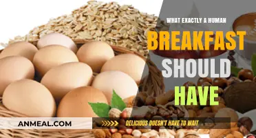 The Perfect Human Breakfast: Essential Nutrients for a Healthy Start