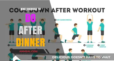 Post-Dinner Workouts: Simple Exercises to Boost Digestion and Relaxation