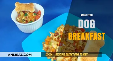 Healthy Dog Breakfast Ideas: What to Feed Your Pup in the Morning