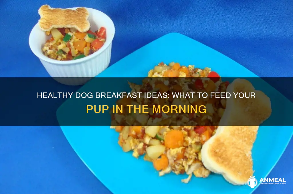 what feed dog breakfast