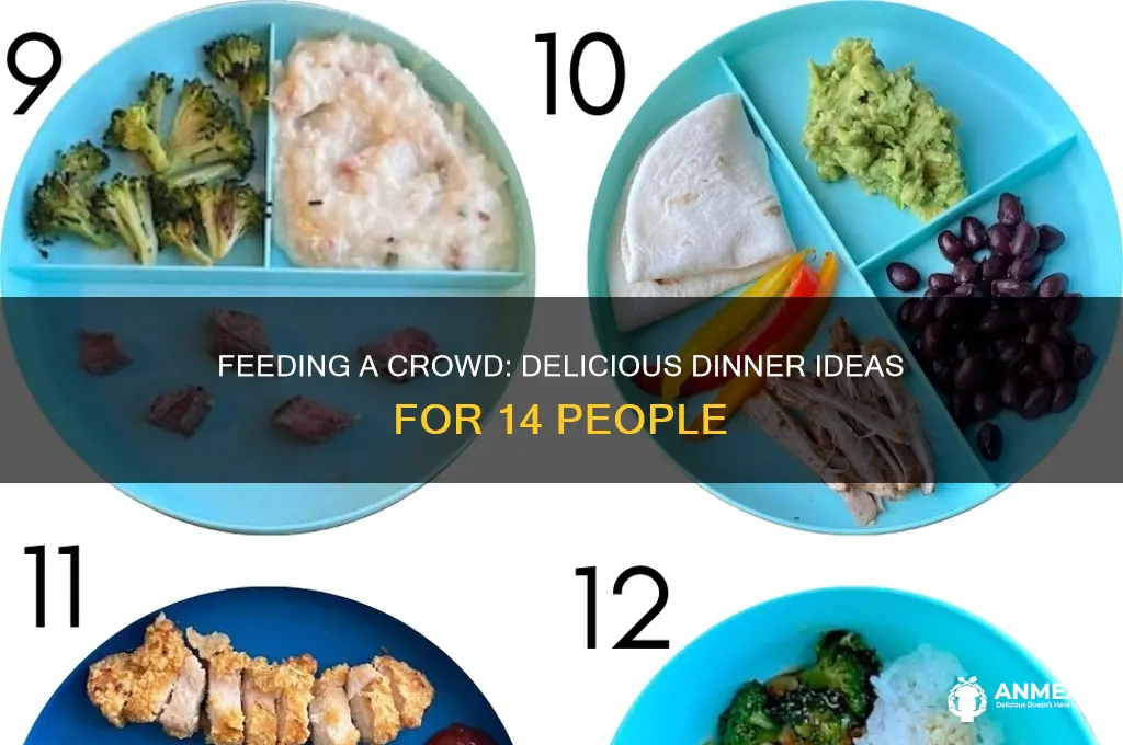 what feeds 14 people for dinner
