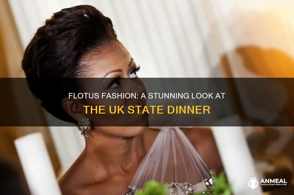 what flotus wore to uk state dinner