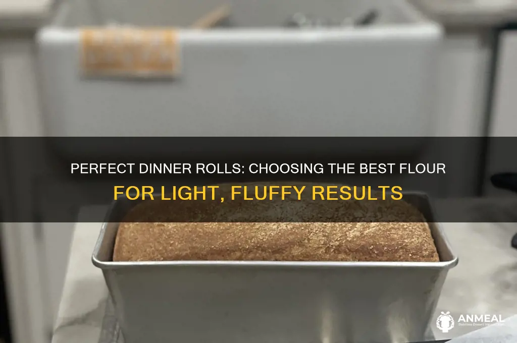 what flour is best for dinner rolls
