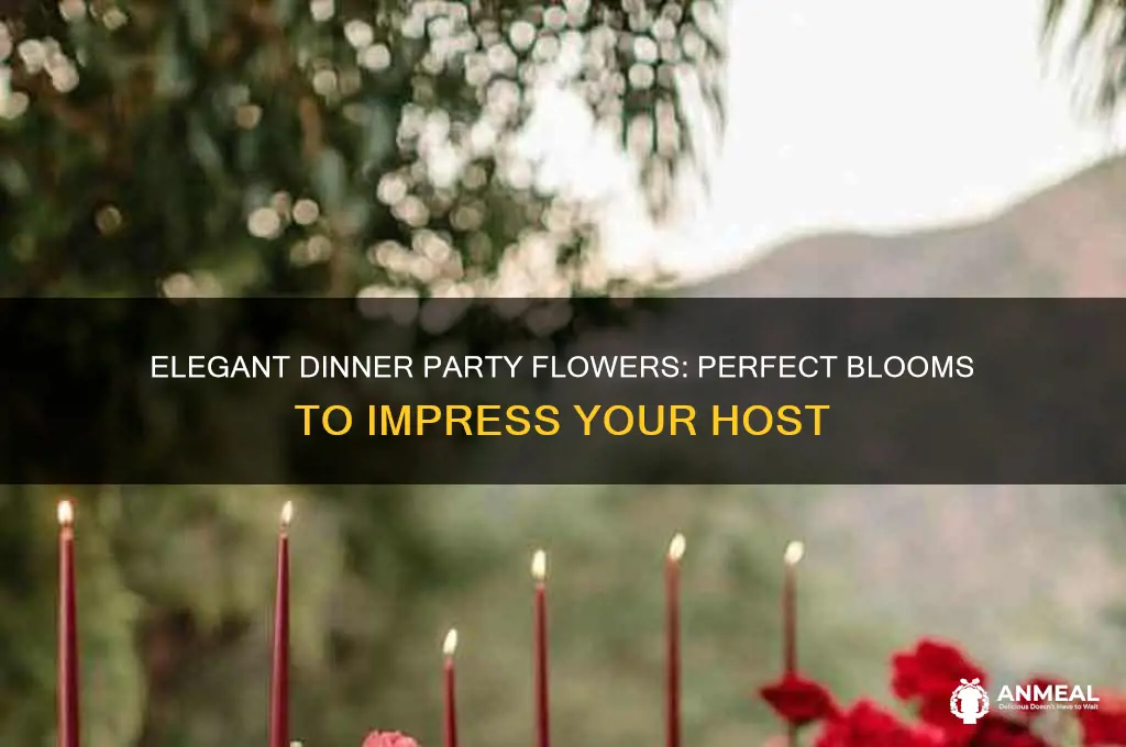 what flowers to bring to a dinner party