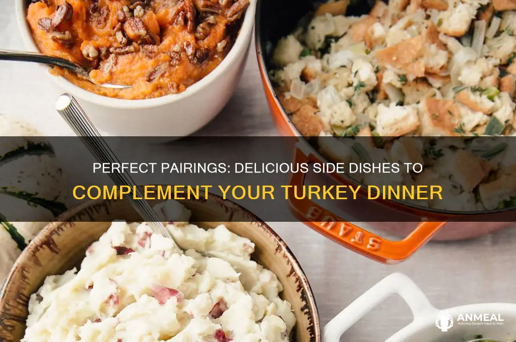 what food goes with turkey dinner