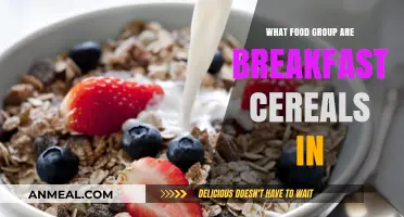 Understanding Breakfast Cereals: Which Food Group Do They Belong To?