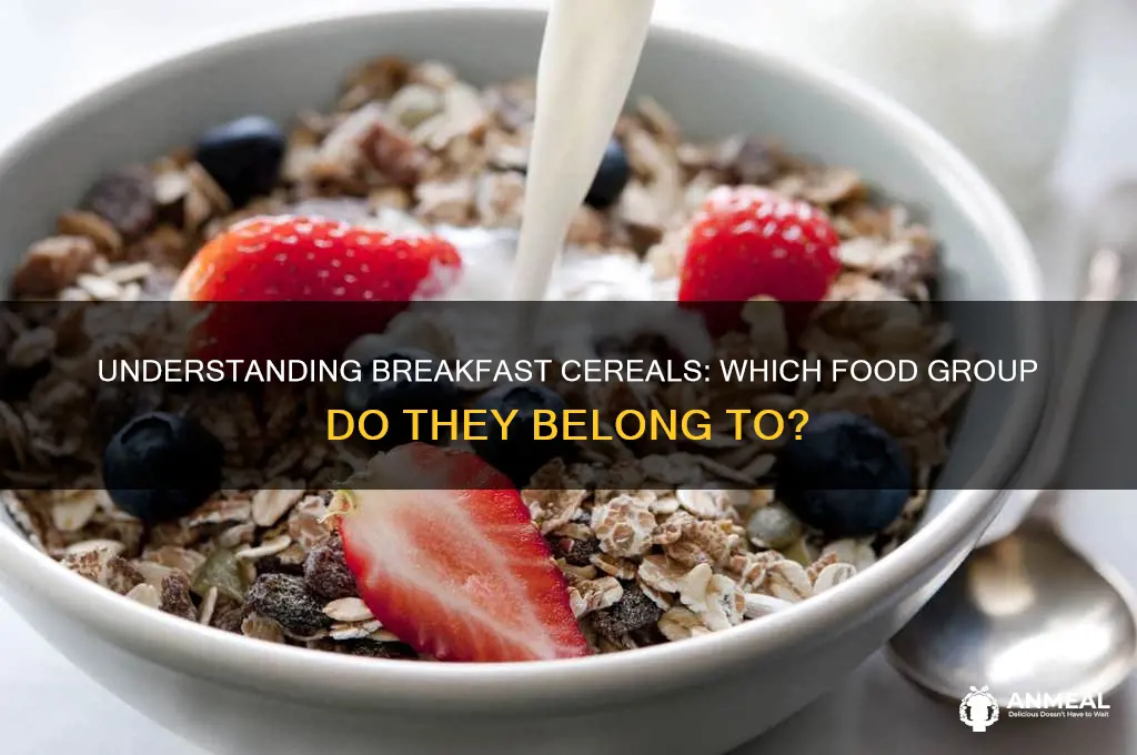 what food group are breakfast cereals in