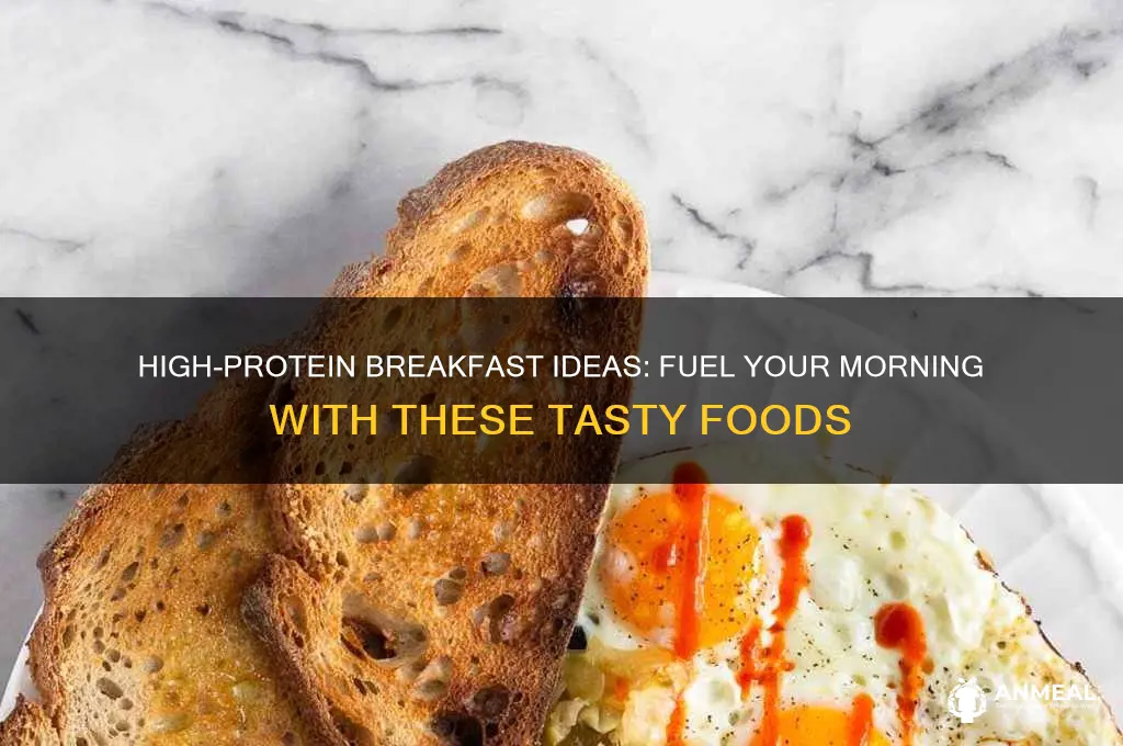 what food has protein for breakfast