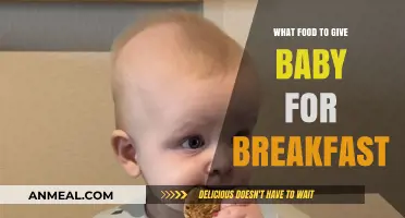 Nutritious Baby Breakfast Ideas: Healthy Morning Meals for Your Little One