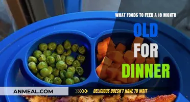Nutritious Dinner Ideas for Your 18-Month-Old Toddler