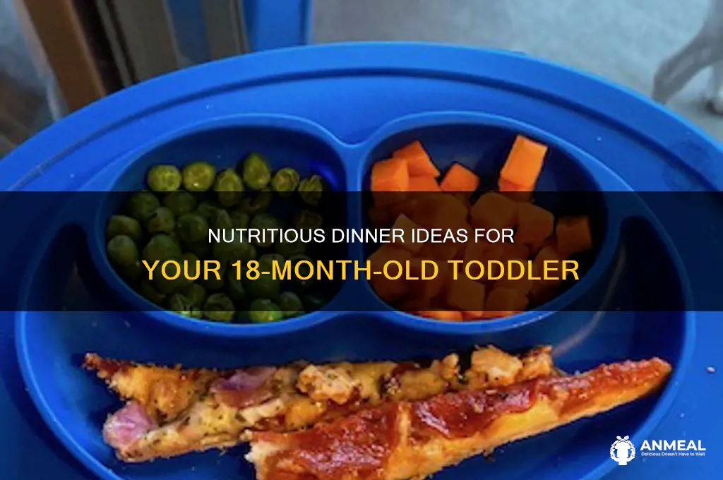 what foods to feed a 18 month old for dinner