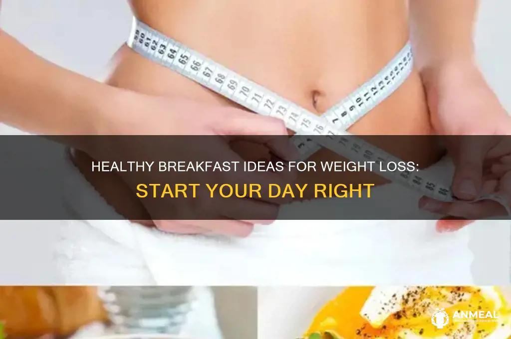 what for breakfast to lose weight