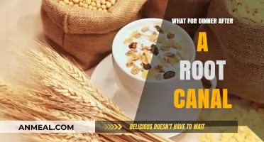 Soft and Soothing Dinner Ideas Post Root Canal Recovery