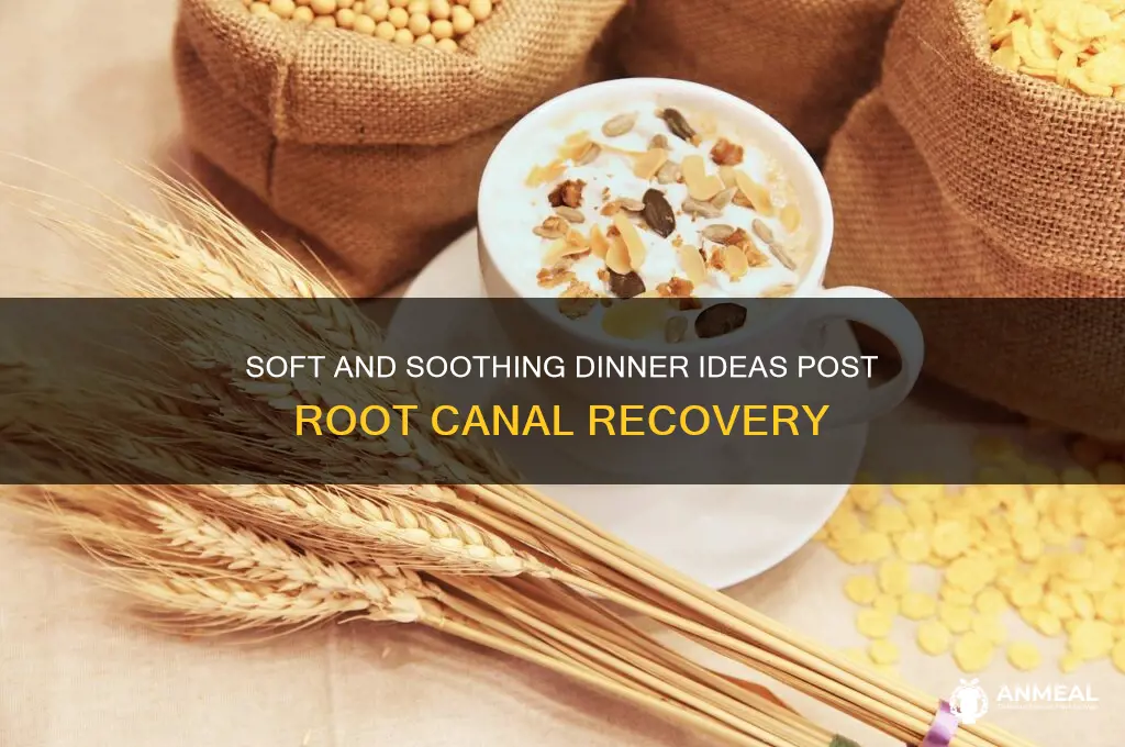 what for dinner after a root canal