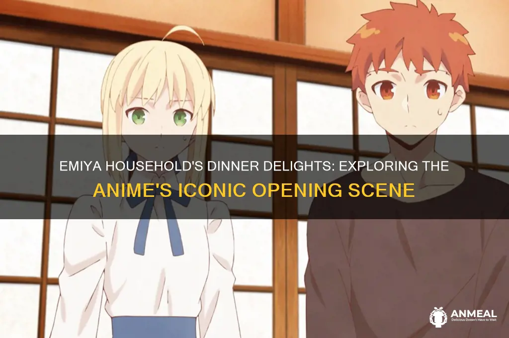what for dinner in the emiya household opening