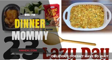 Quick & Easy Dinner Ideas for Busy Moms: What’s for Dinner?