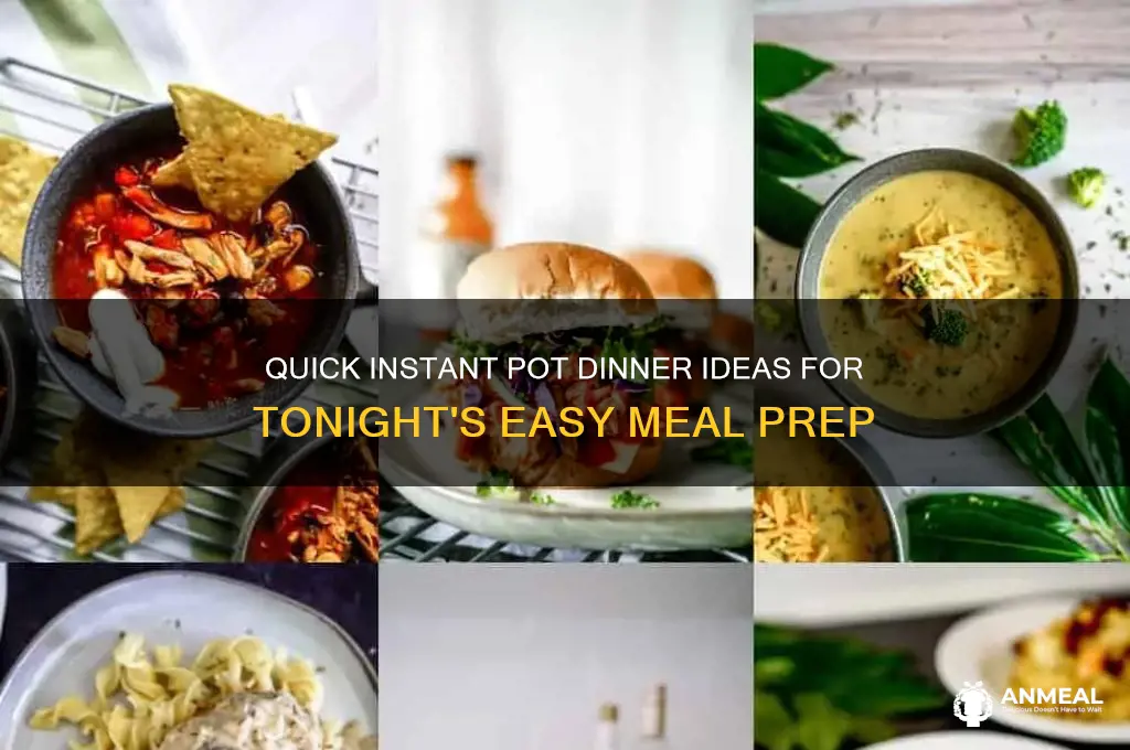 what for dinner n in the instant pot tonight