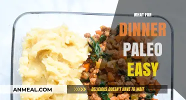 Quick Paleo Dinner Ideas: Simple, Healthy, and Delicious Recipes Tonight
