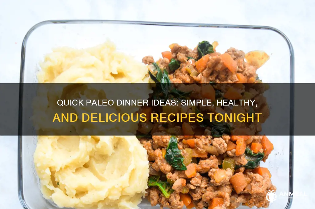 what for dinner paleo easy