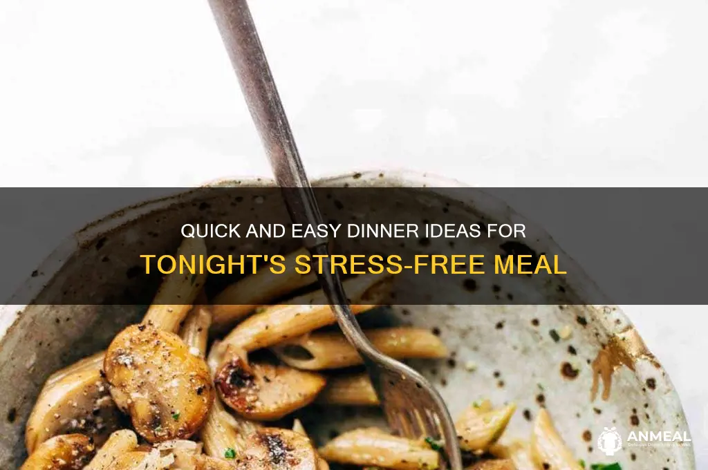 what for dinner tonight easy recipes