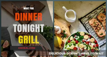 Sizzling Grill Ideas: What’s for Dinner Tonight?