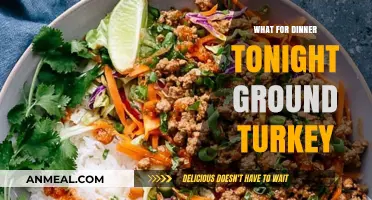 Quick Ground Turkey Dinner Ideas: Easy, Healthy, and Delicious Tonight