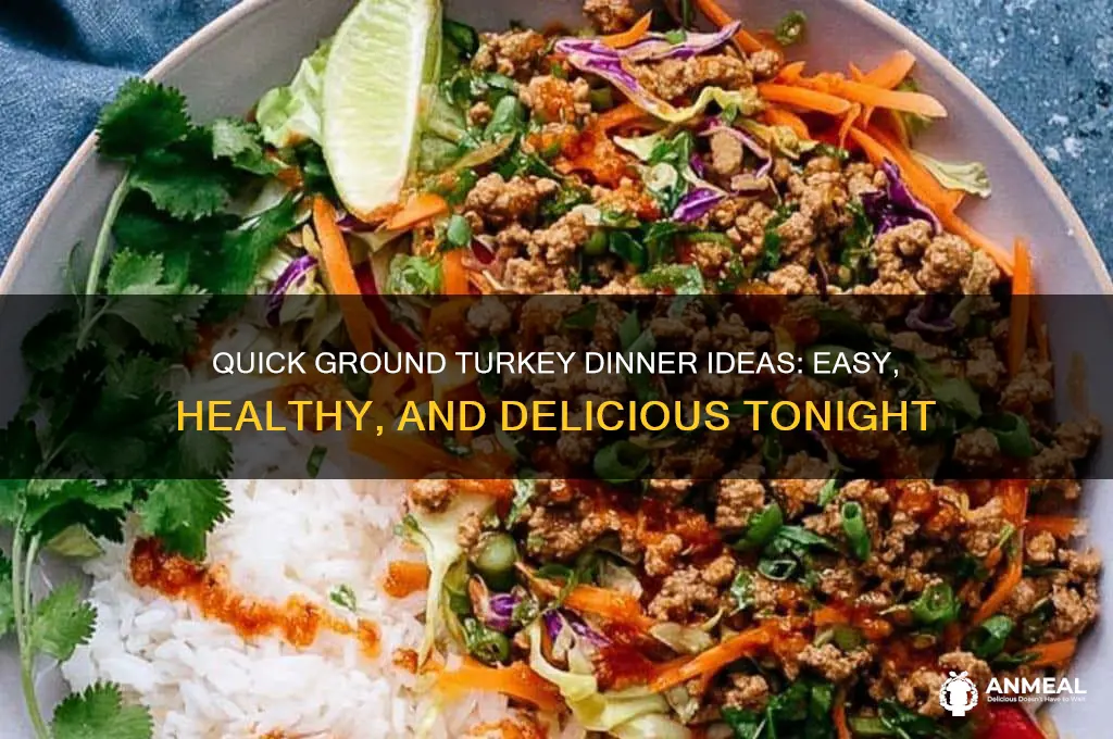 what for dinner tonight ground turkey