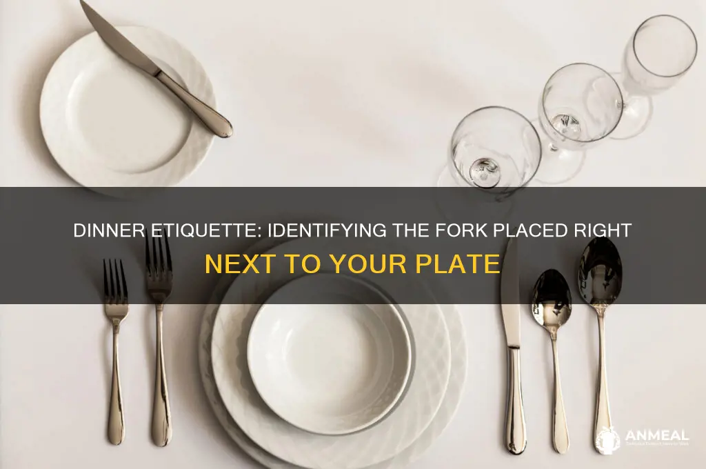 what fork is place right next to the dinner plate