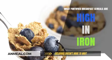 Iron-Rich Fortified Breakfast Cereals: Top Picks for a Healthy Start
