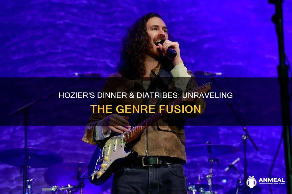 what genre is hozier dinner & diatribes