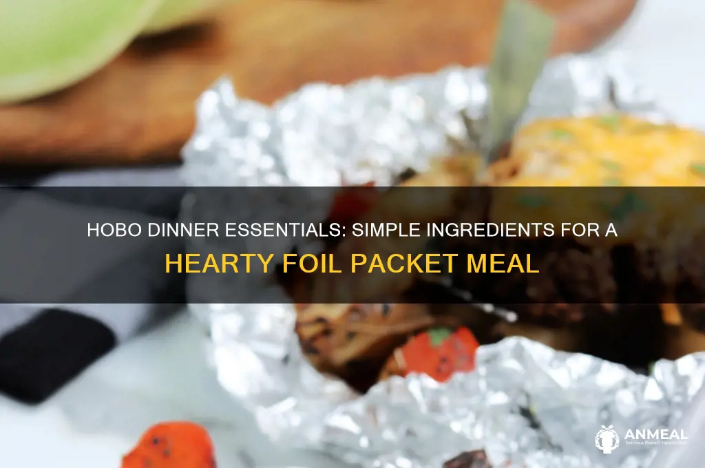 what goes in a hobo dinner