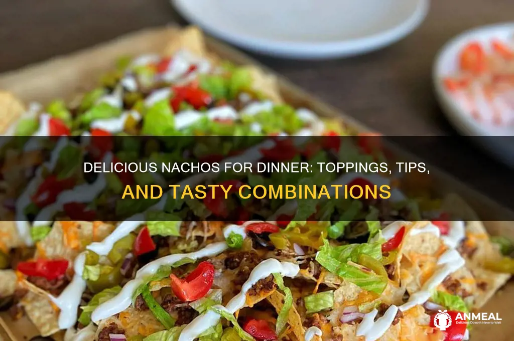 what goes on nachos for dinner