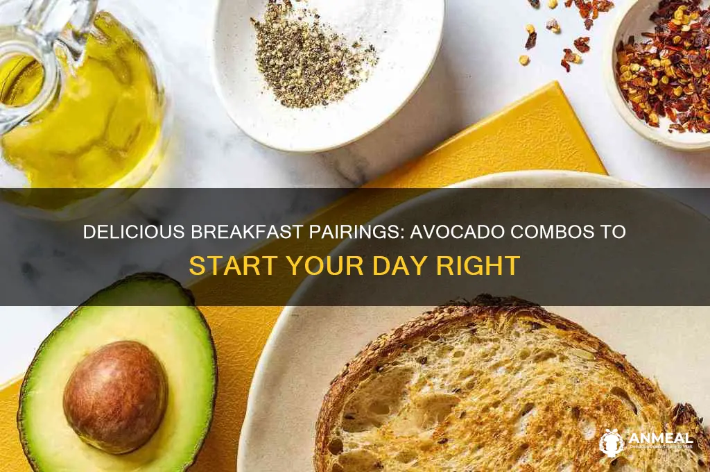 what goes well with avocado for breakfast
