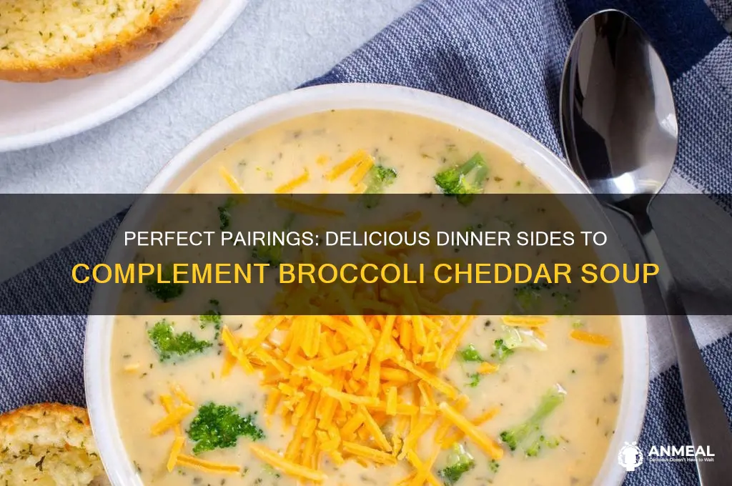 what goes well with broccoli cheddar soup for dinner