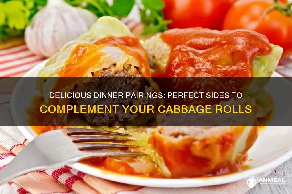 what goes well with cabbage rolls for dinner