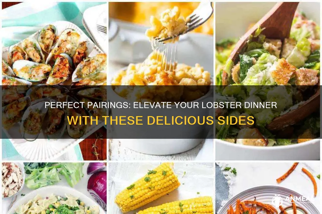 what goes well with lobster dinner