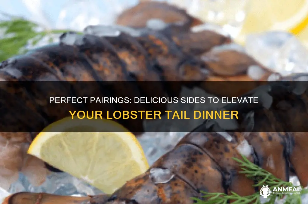 what goes well with lobster tails for dinner