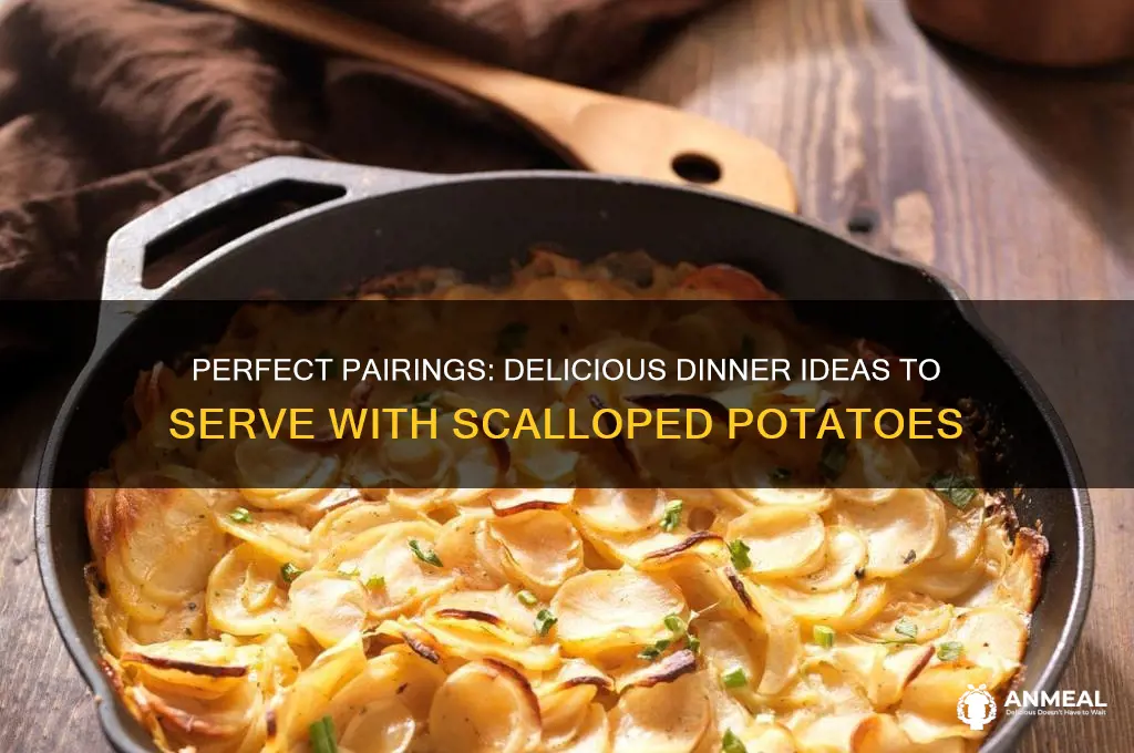what goes well with scalloped potatoes for dinner