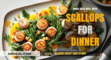 Perfect Scallop Dinner Pairings: Delicious Sides and Sauces to Elevate Your Meal