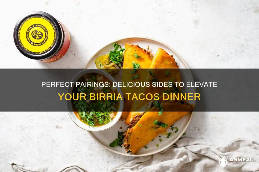 what goes with birria tacos for dinner