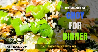 Delicious Bok Choy Dinner Pairings: Perfect Sides and Main Dishes